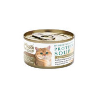 Choo Choo-Protein Soup- Fish