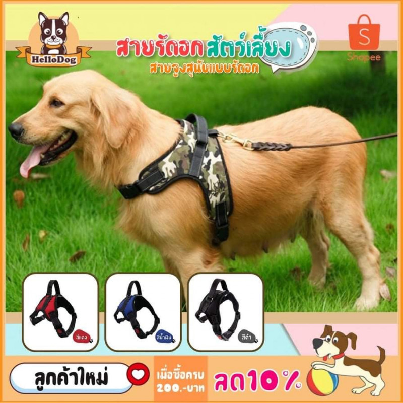 Dog Harness Company of Animals Green XL 50-78 cm main image 1