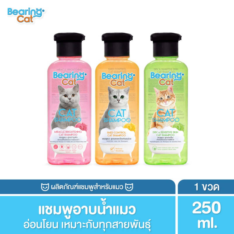 Bearing- Cat Shampoo 250ml