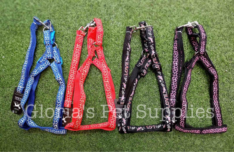 Mix Leash+ Harness
