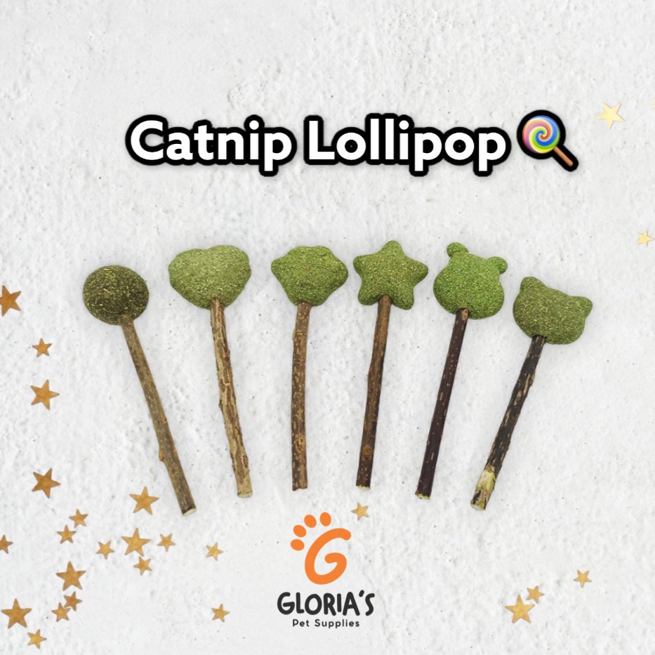 Cat Mint Lollipop