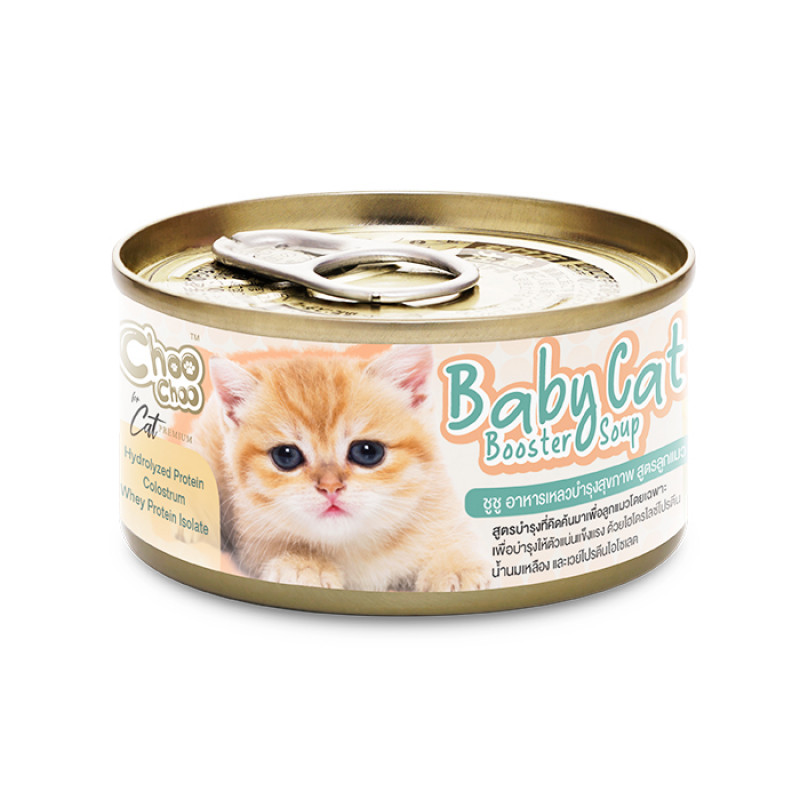Choo Choo- Baby Cat Booster