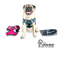 Eco Pup Nup- EPN Reggie Front Harness (M)