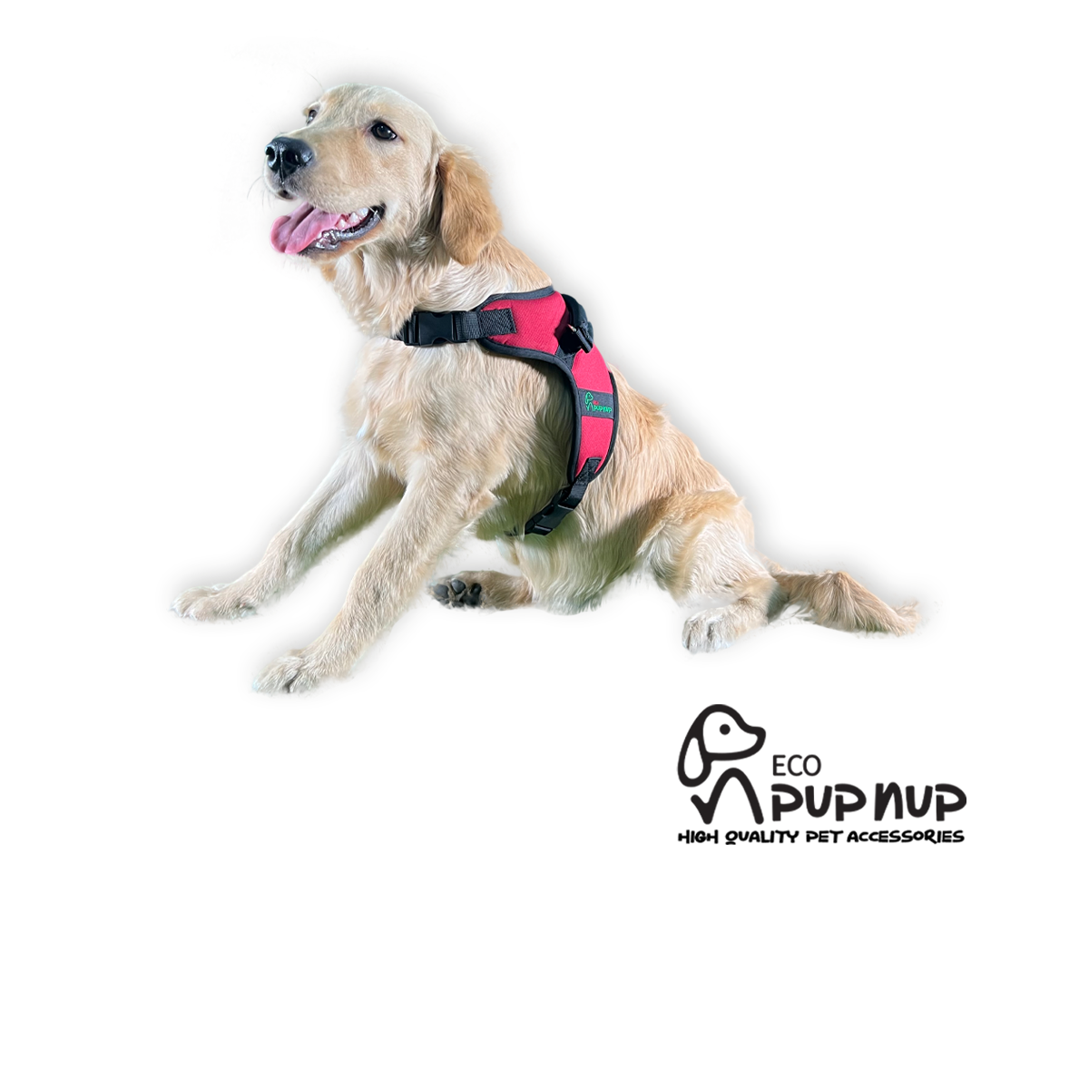 Eco Pup Nup- EPN Patrick Back Harness (S)