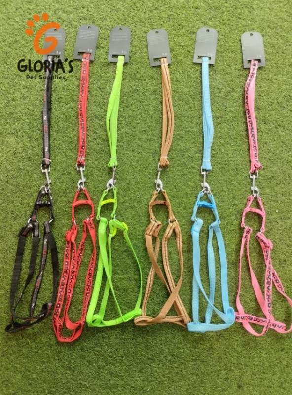 Mix Leash+ Harness (S)