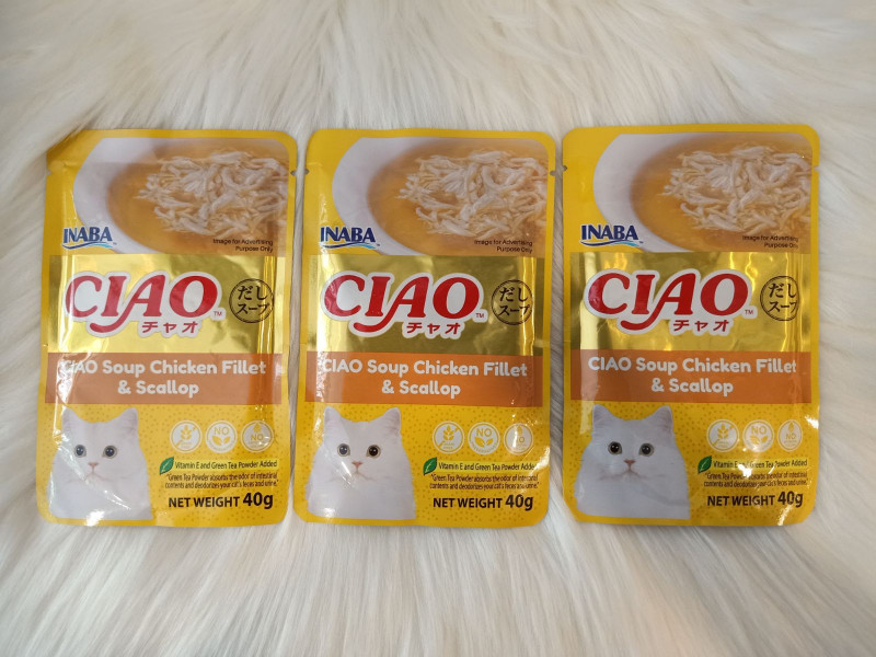 CIAO 40g -IC213 CH Fillet