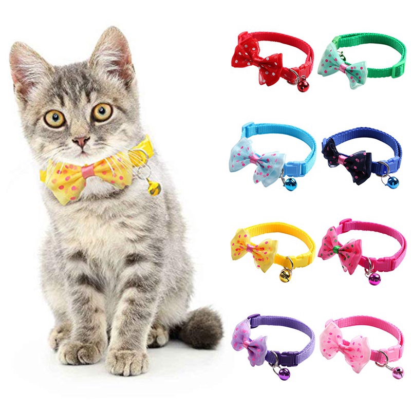 Collar- Ribbon