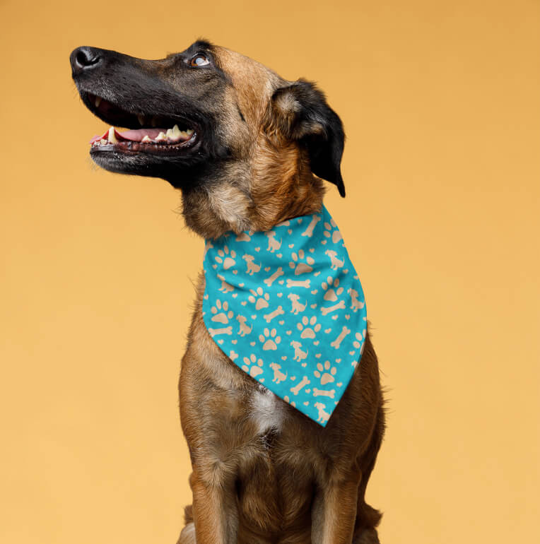 Collar_Bandana