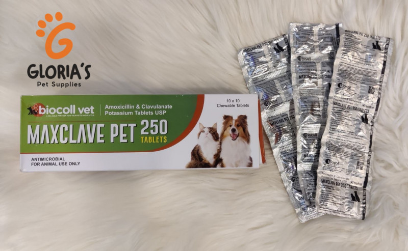 Maxclave Pet 250 tab (Amoxicillin ပါဝင်သည့် ပိုးသတ်ဆေး)