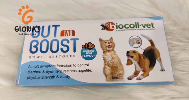 Gut Boost Tablet (ဝမ်းပျက်၊ ဝမ်းလျှော/ GI ပြဿနာရှိလျှင် အူလမ်းကြောင်းကျန်းမာရေးအတွက်)