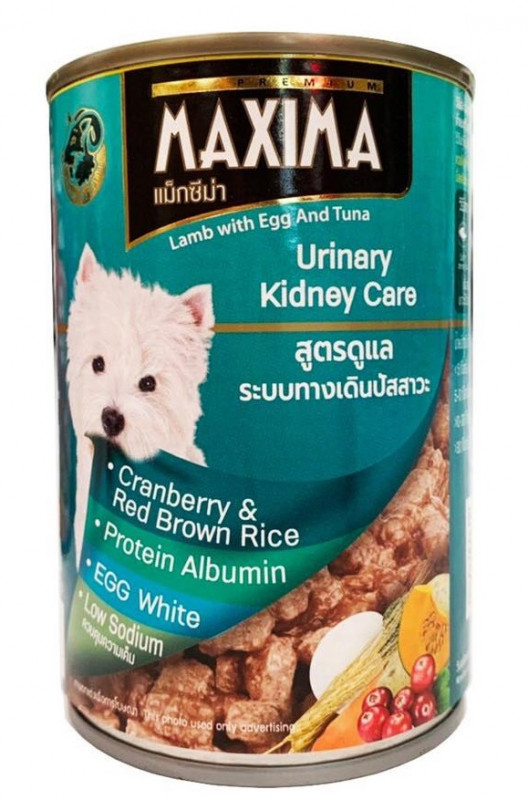 Maxima Urinary Kidney care
