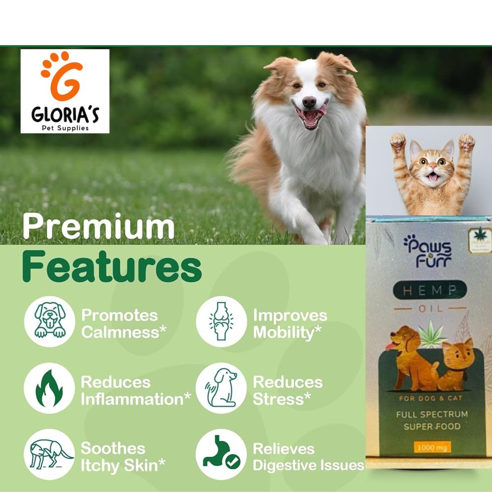 Paws Furr Hemp Oil (တိလေးတွေရဲ့ Anxiety ကို သက်သာစေပြီး အရိုးအဆစ်နာကျင်မှုကို လျော့နည်းစေသည်)