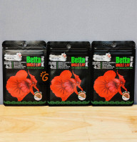 Mr. Chun Fighter / Betta Fish 10g