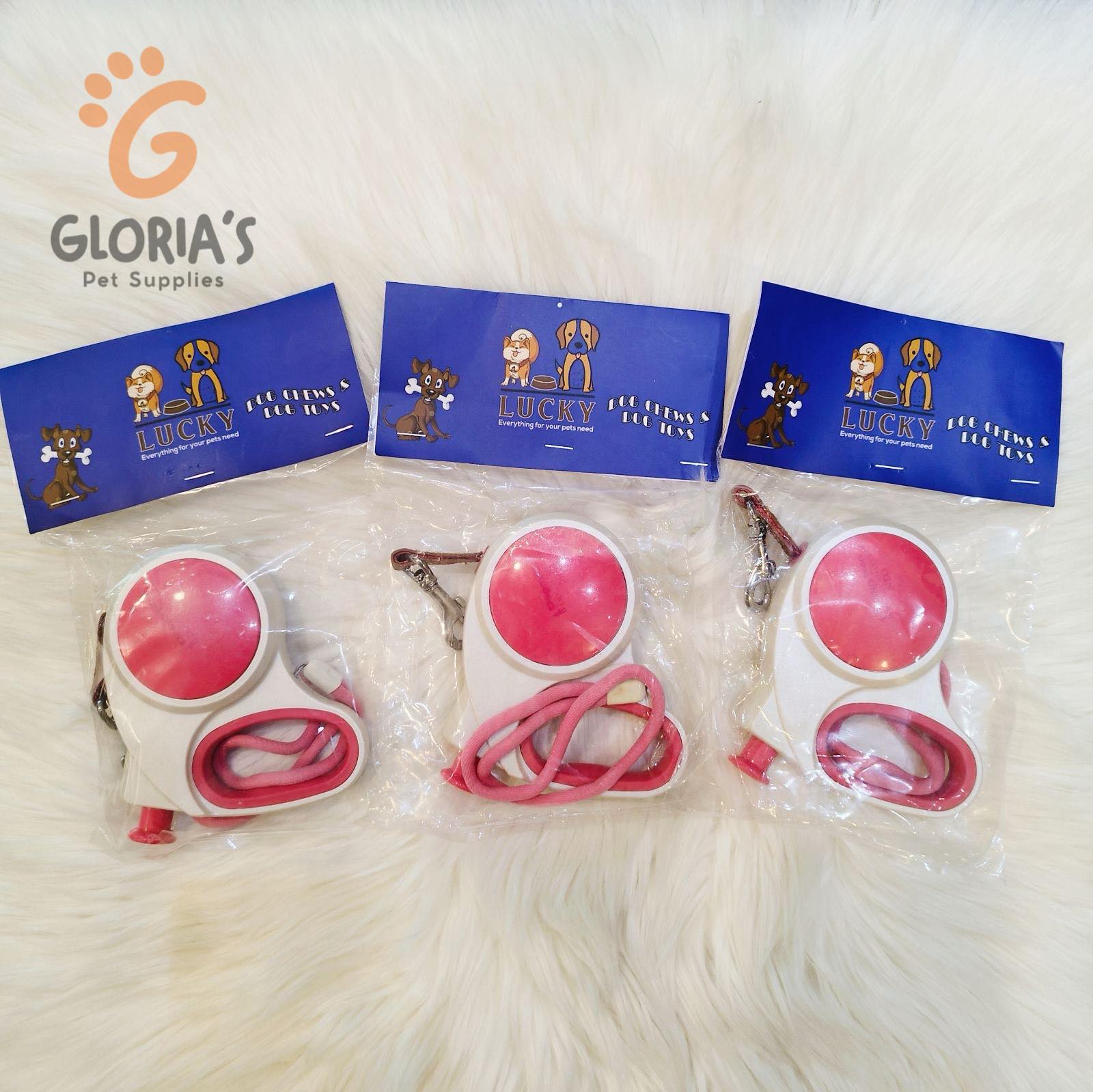 Doggy Man Doggy Walker(M)