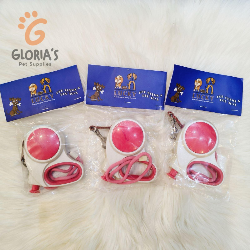 Doggy Man Doggy Walker(M)