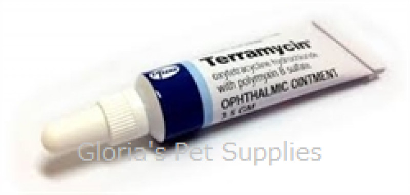 Terramycin_Antibiotic Eye Ointment