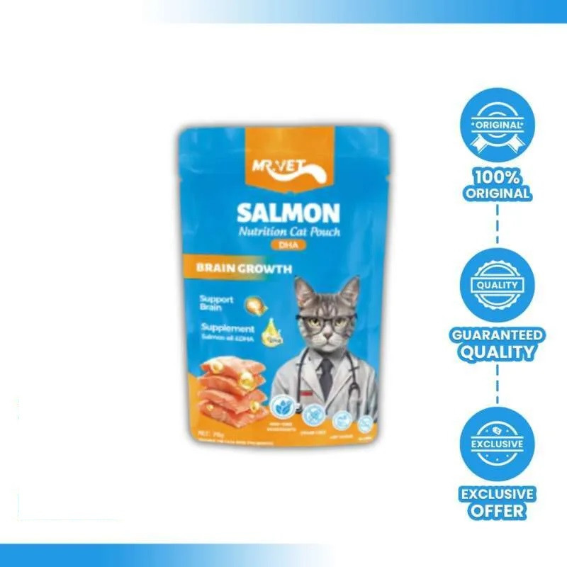 Mr.Vet Salmon 70g