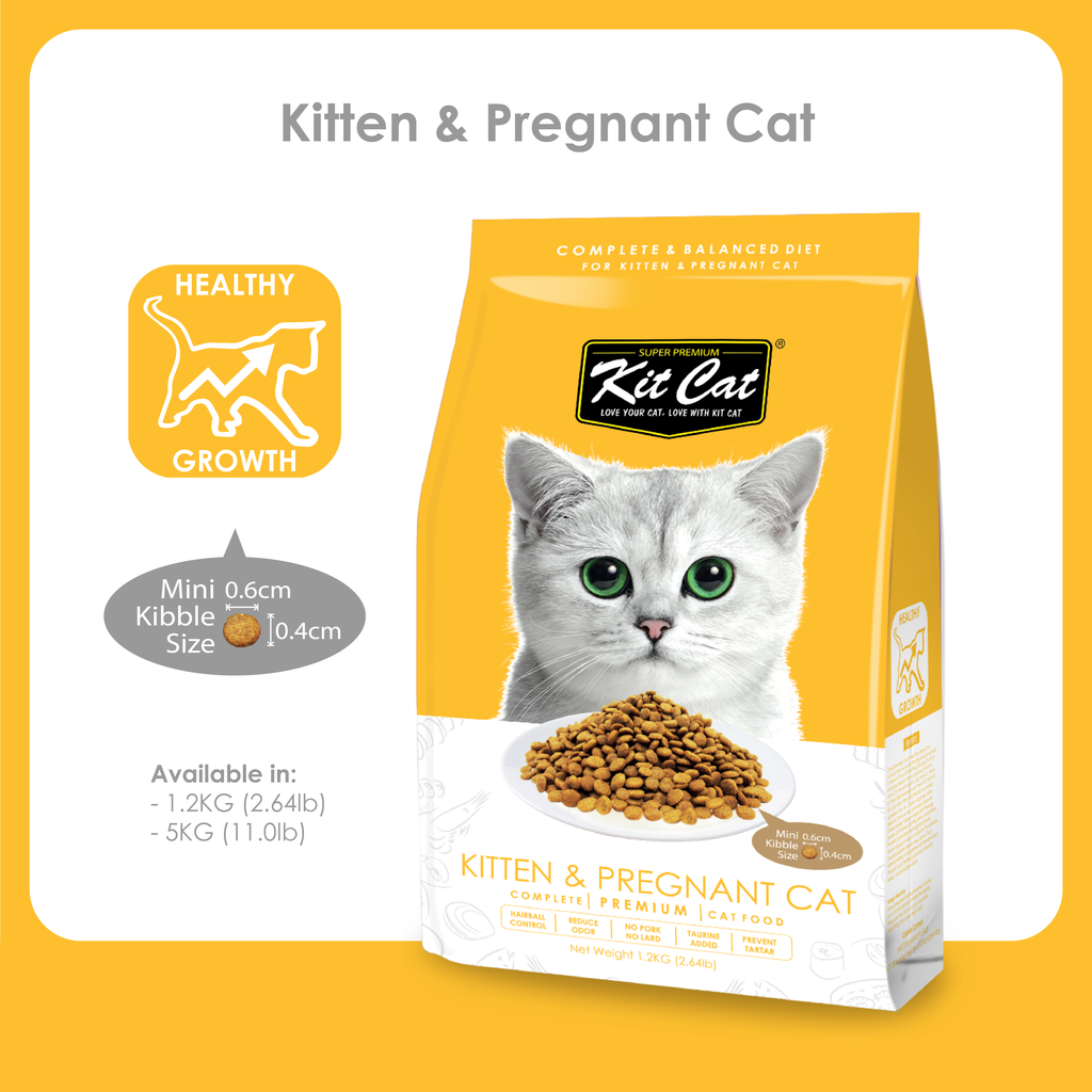 KitCat-Kitten & Pregnant 1.2kg (Yellow)