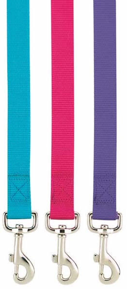 Nylon Plain Leash-15mm*48''