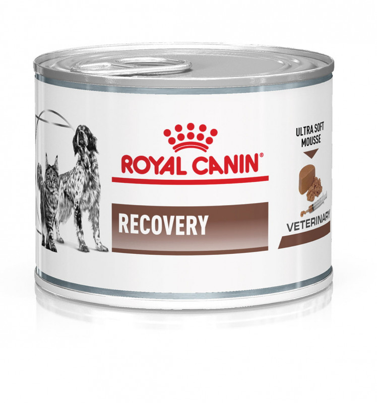 Royal Canin- Recovery 195g