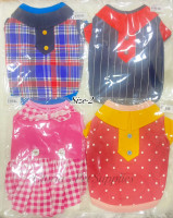 Collar Shirt- No.2